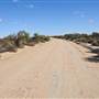 Menindee