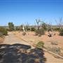 Menindee
