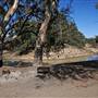 Menindee