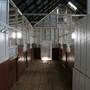 Saumarez Homestead - Armidale