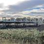 Livestock Markets Blayney