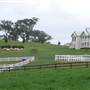 Lomar Park Stud