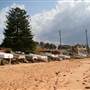 Long Reef Point