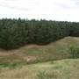 Macquarie Woods - Vittoria State Forest