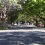 Marrickville Neighbourhood