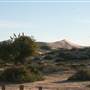 Mungo National Park