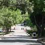 Newington College