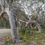 Murramarang National Park