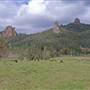 Nimbin
