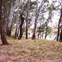 Murrumbidgee River