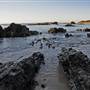 Mystery Bay