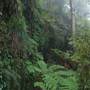 New England National Park