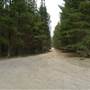 Newnes State Forest