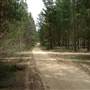 Newnes State Forest