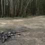 Newnes State Forest