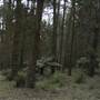 Newnes State Forest