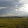 Menangle Area