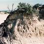 Milkengay Lake Sand Dunes