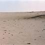 Milkengay Lake Sand Dunes