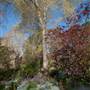 Milton Park Country House Hotel & Spa