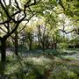 Milton Park Country House Hotel & Spa