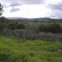 Minnamurra River