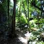 Mount Keira Scout Camp File 1