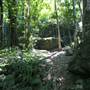 Mount Keira Scout Camp File 1