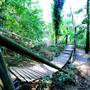 Mount Keira Scout Camp File 1