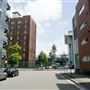 Pyrmont - Darling Island Road