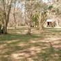 Queens Head - Limeburners Creek National Park