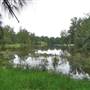 Navua Reserve - Grose River