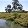 Riverstone Farmland & Eastern Creek