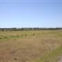 Riverstone Farmland & Eastern Creek