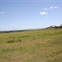 Riverstone Farmland & Eastern Creek