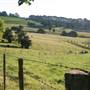 Rolling Hills - Southern Highlands