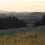 Rolling Hills - Southern Highlands