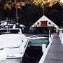 Roseville Bridge Marina