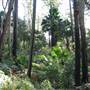 Royal National Park