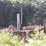 Port Macquarie Area