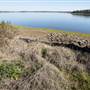 Prospect Reservoir