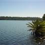 Prospect Reservoir