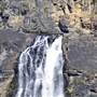 Tia Falls