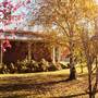 Uralla