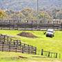 Walcha