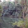 Stotts Island Nature Reserve