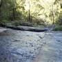 Tweed - McKenzie Property