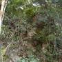 Tweed - McKenzie Property