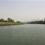 Tweed River - Murwillumbah