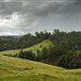 Tweed Valley 1 of 2